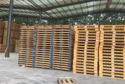 木托盤在大型購(gòu)物商場(chǎng)的應(yīng)用